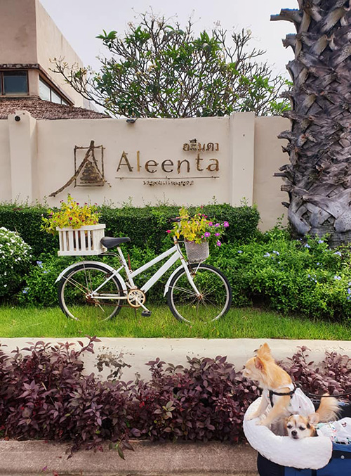 Aleenta Hua Hin Pranburi