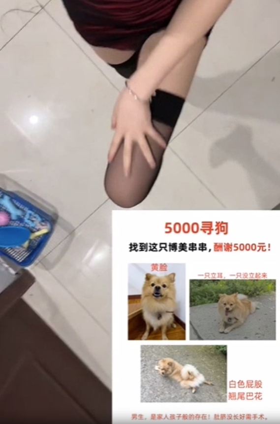 ประกาศหมาหาย