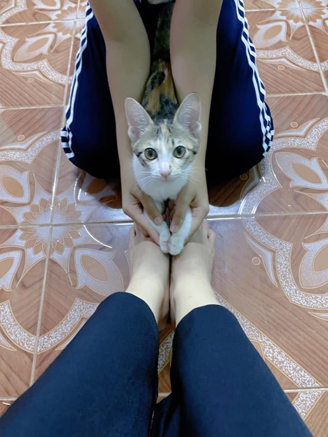 ไหว้แม่
