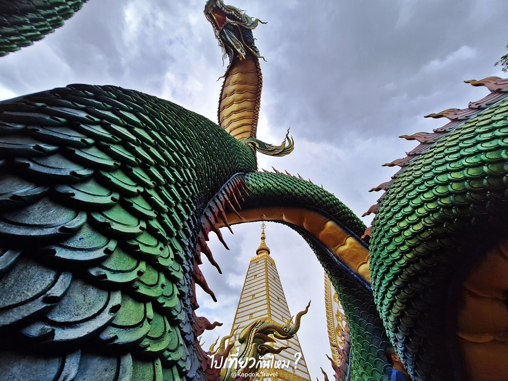 วัดพระธาตุหนองบัว