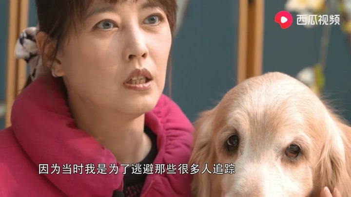 โจวไห่เม่ย