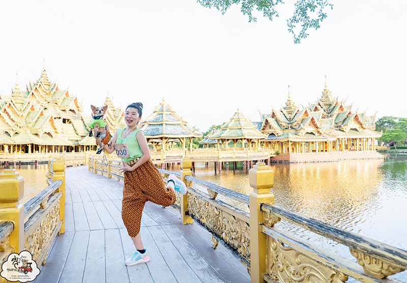 งานอยากวิ่งกับหมา