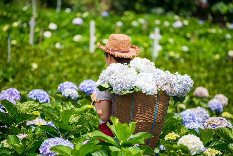 ที่เที่ยวเดือนพฤศจิกายน 2564