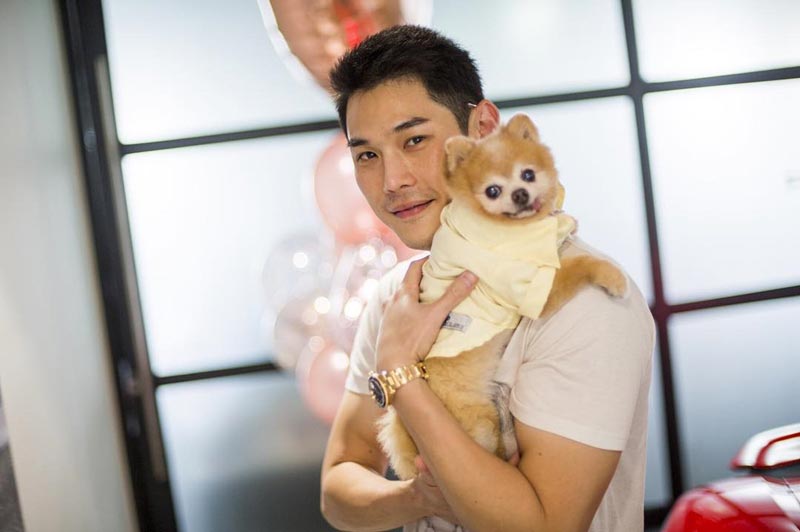 สัตว์เลี้ยงดารา