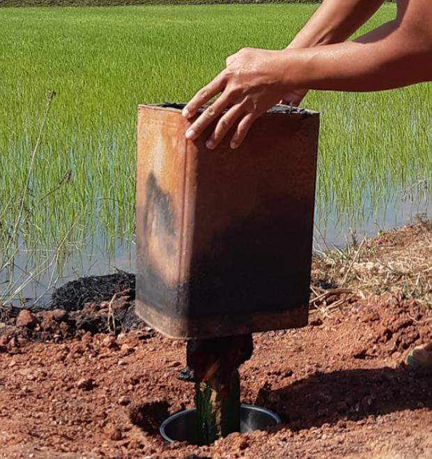 ไก่อบฟาง