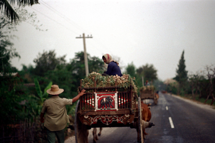 วิถีชีวิตชาวนา