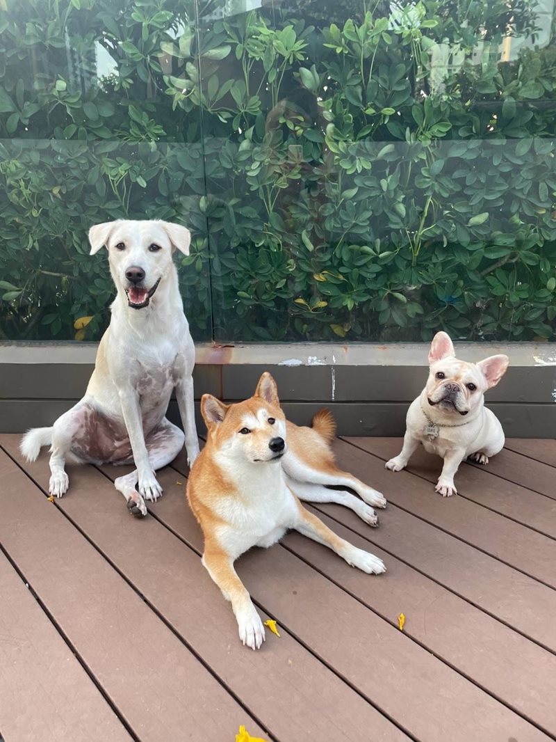 น้องดิ๊กกี้