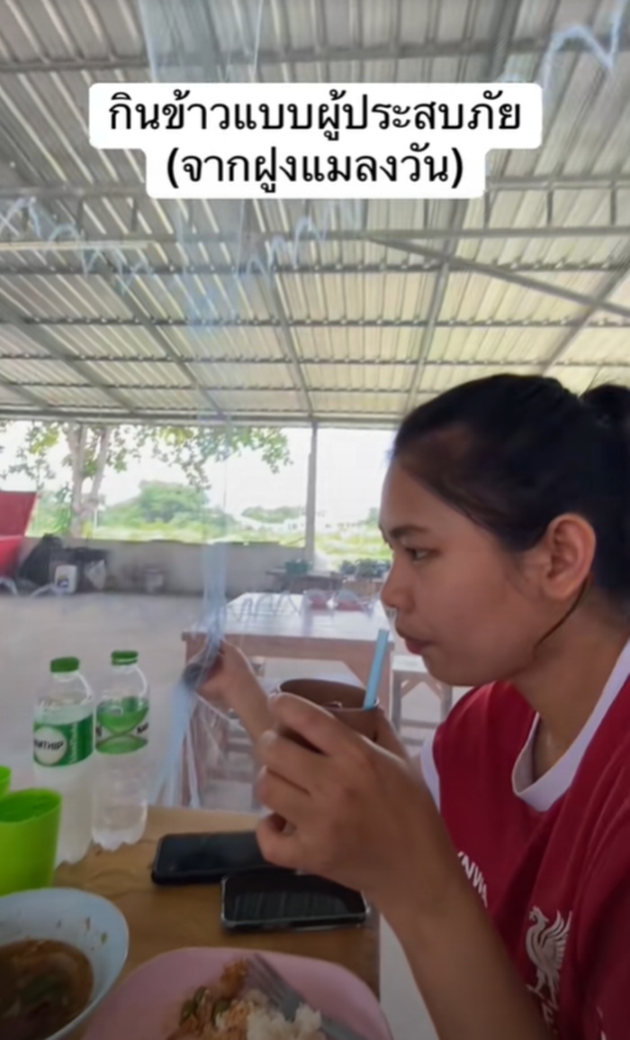 กางมุ้ง