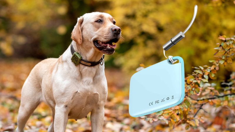 Pet Tracker Baseus Intelligent T2