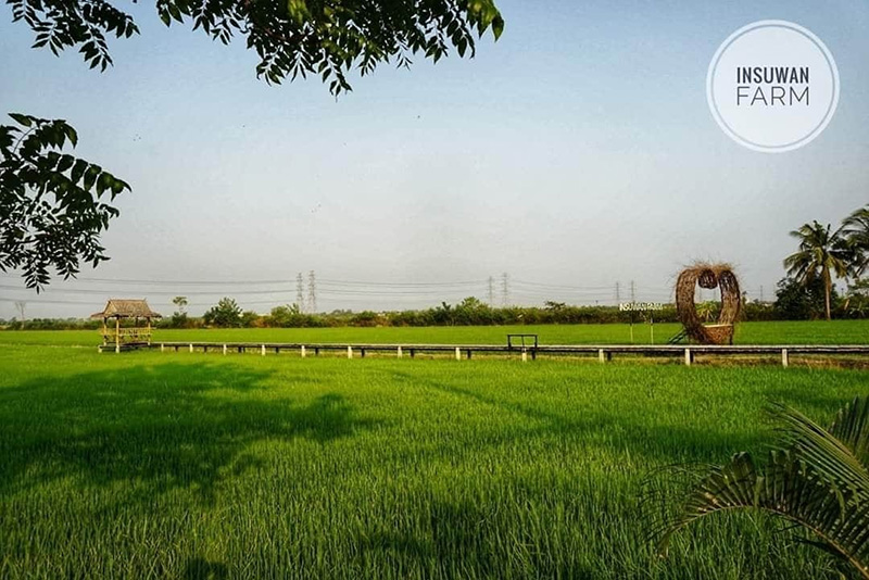 ร้านอาหารวันแม่ 2563