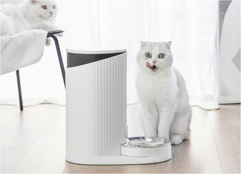 เครื่องให้อาหารแมวอัตโนมัติ