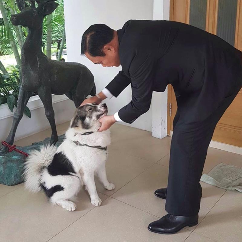 สัตว์เลี้ยงผู้นำ