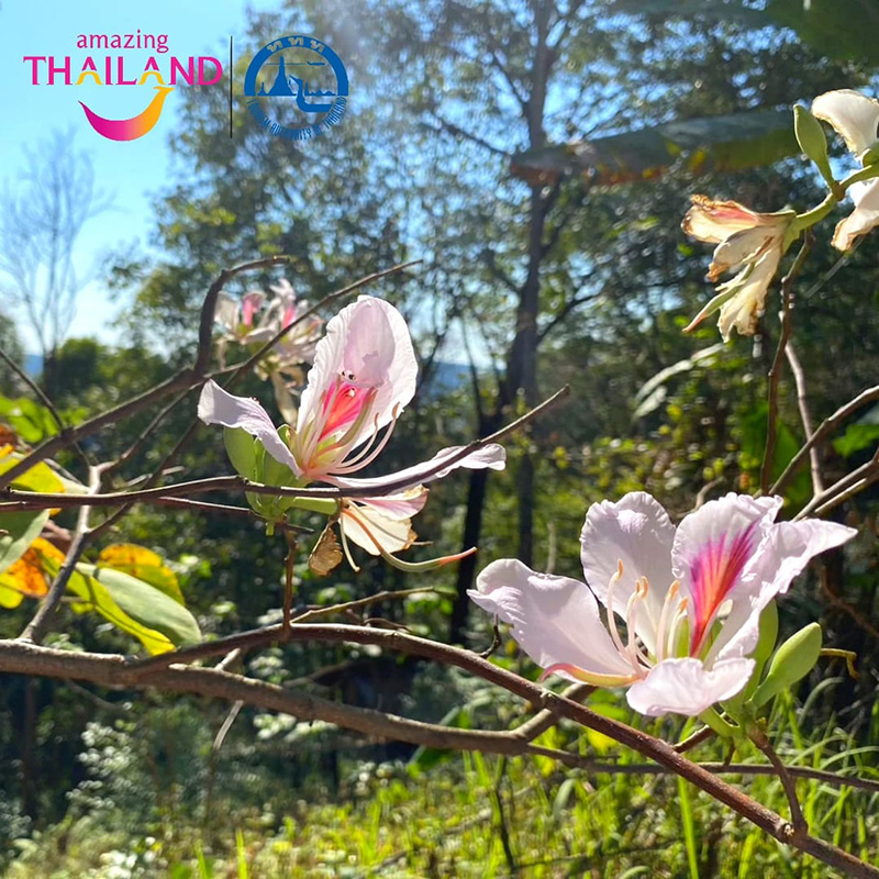 เที่ยวเดือนมีนาคม 66