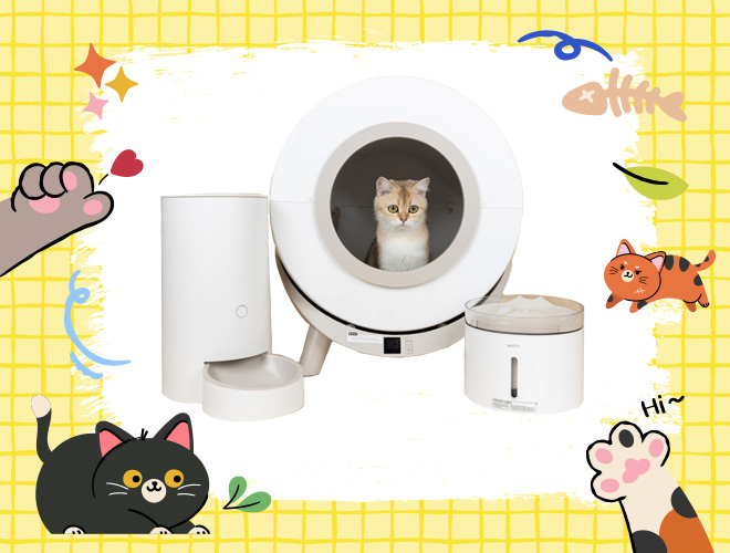ห้องน้ำแมวอัจฉริยะ น่าซื้อ 2569