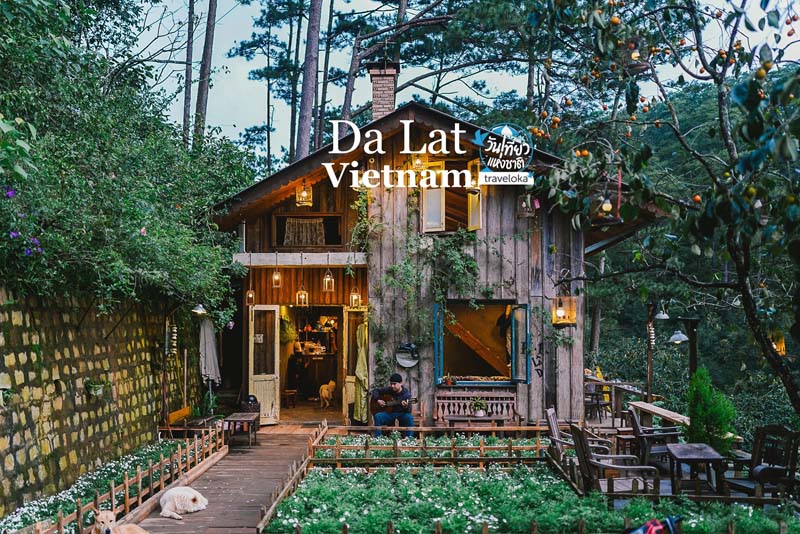ดาลัด