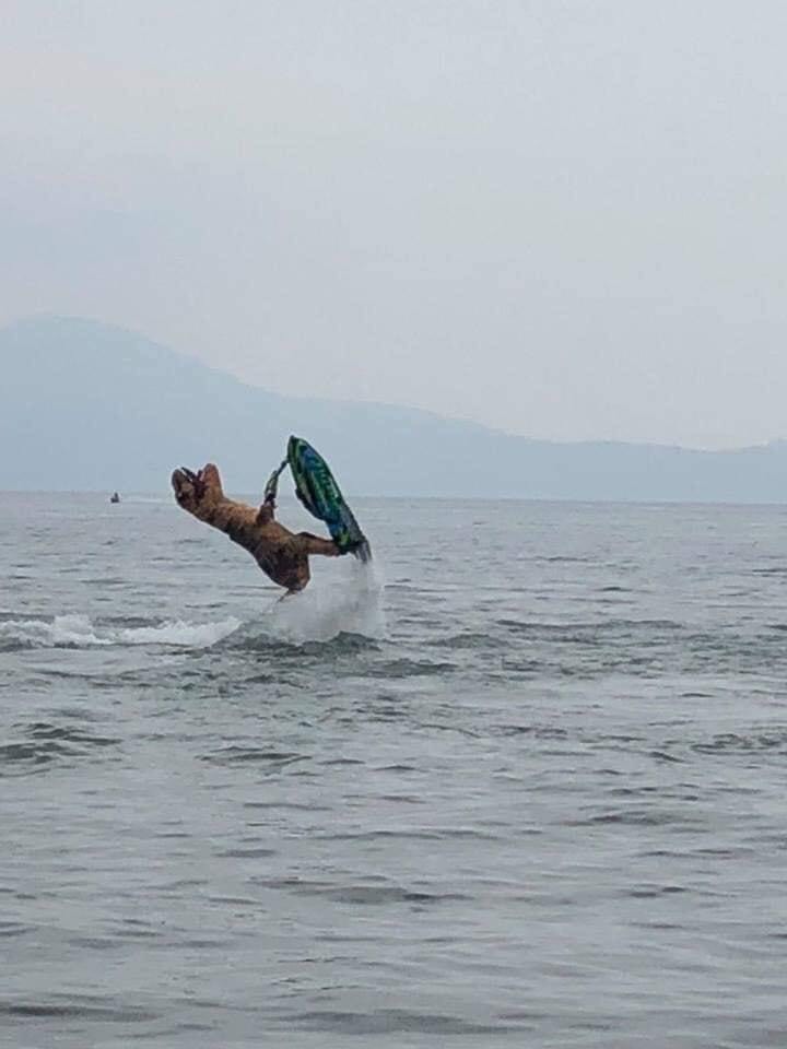 ขี่เจ็ตสกี