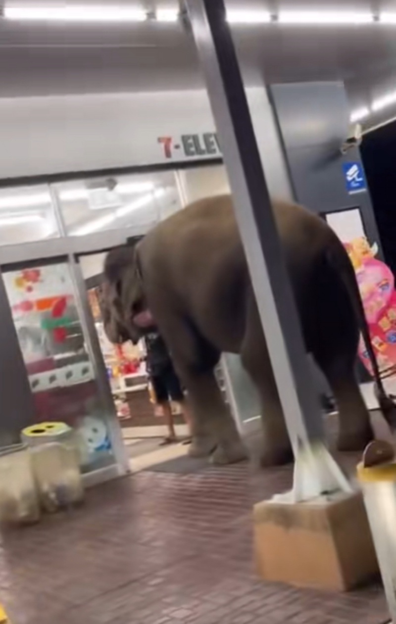 เข้าเซเว่น