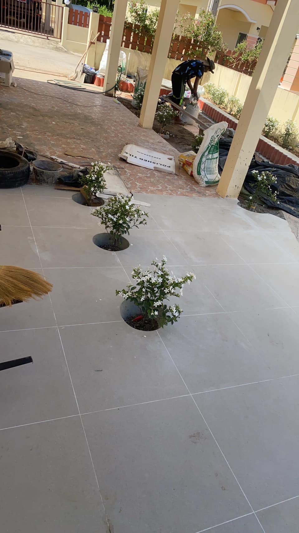 ปลูกต้นไม้