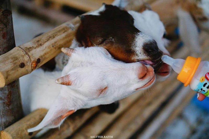 เที่ยวรังนกแลนด์ by นกแปดริ้ว จ.ฉะเชิงเทรา