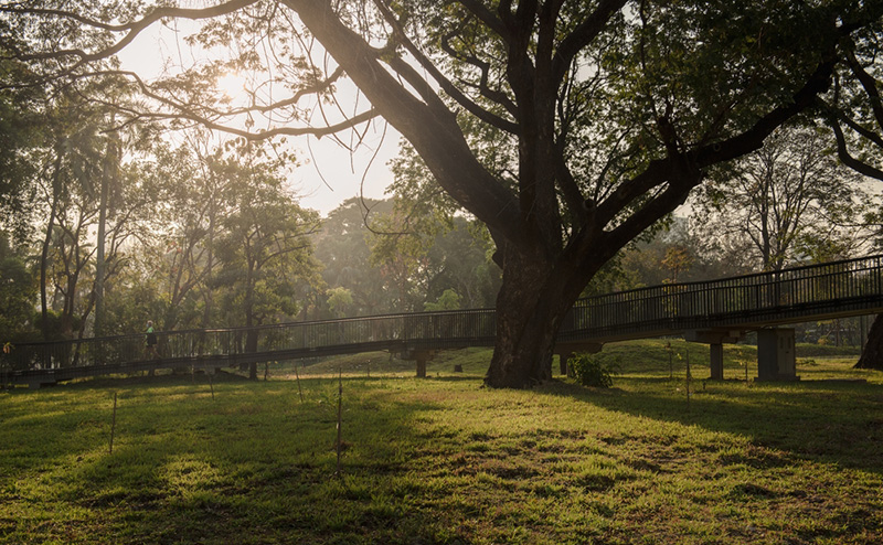 สวนเบญจกิติ