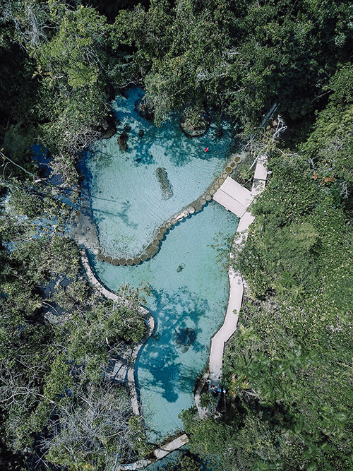 ป่าต้นน้ำ บ้านน้ำราด