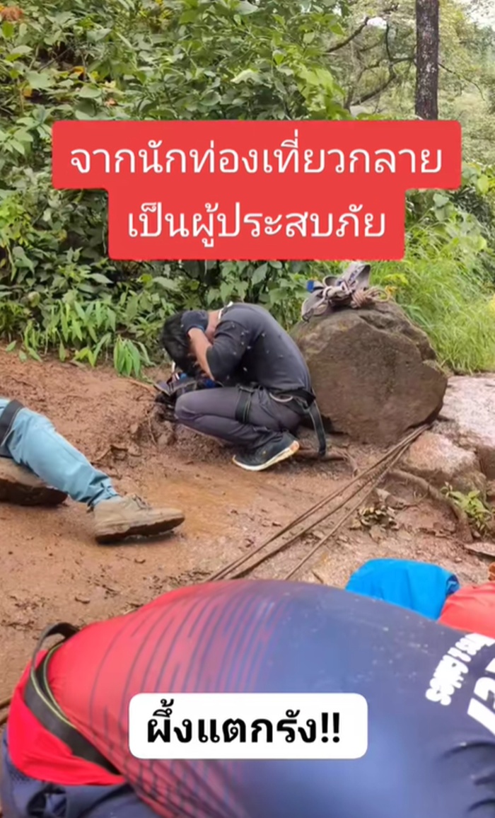 ผึ้งแตกรัง