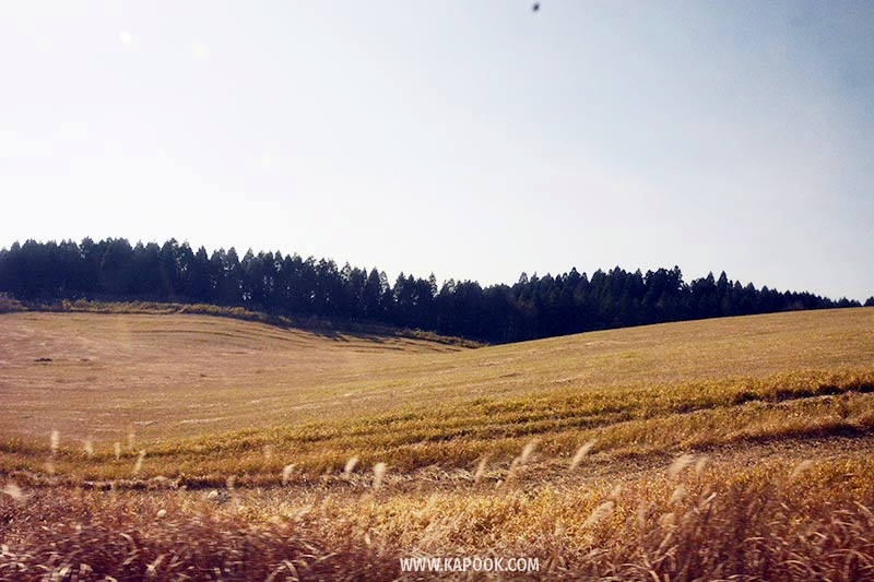 เที่ยวคุมาโมโตะ ญี่ปุ่น