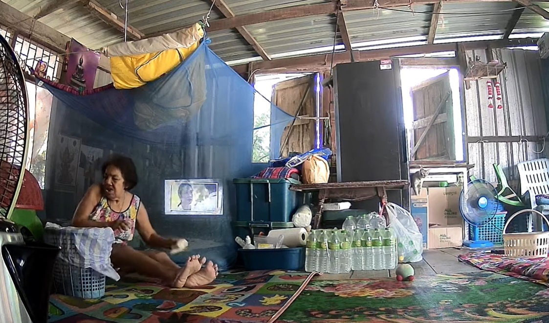 ตัวเงินตัวทอง