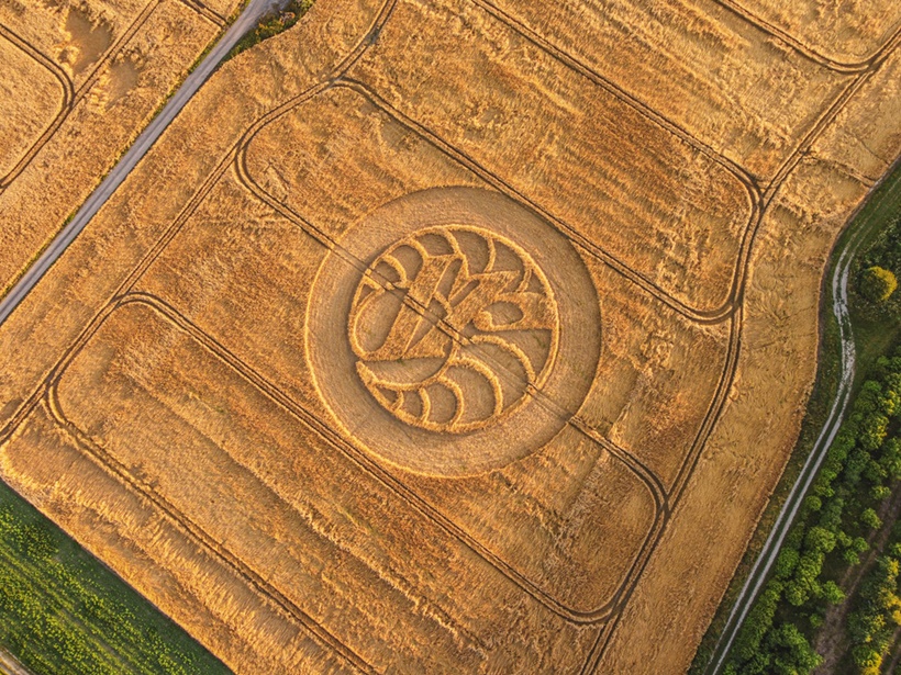 Crop Circles
