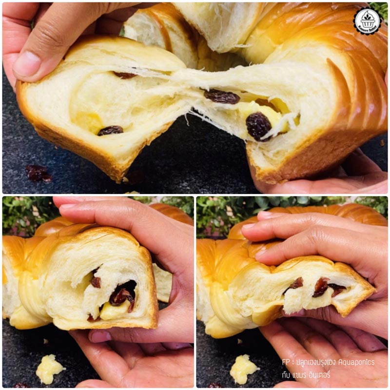 ขนมปัง Wool Roll ลูกเกดแครนเบอร์รี