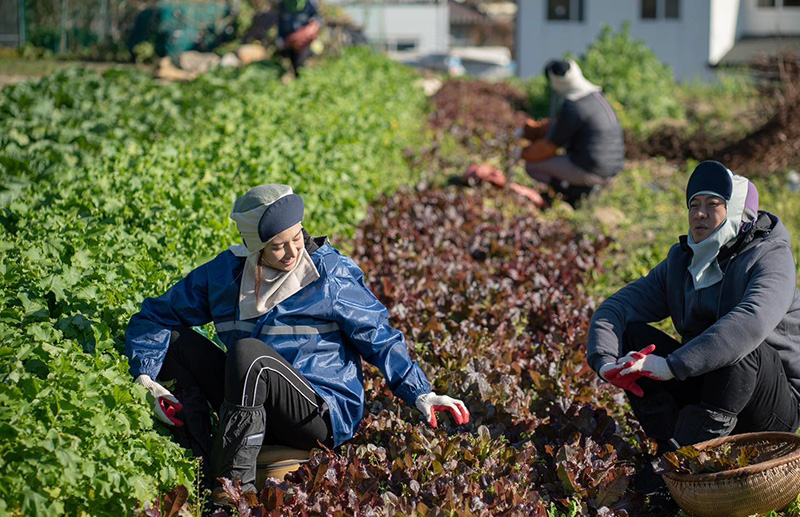 เรื่องย่อ อีแหล่ แอรี่ เกาหลี โอปป้า หนังไทย หนังใหม่มีนาคม 2026 หนังใหม่ 2026 ภาพตัวอย่าง