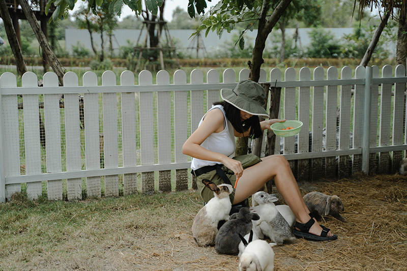 ร้านคาเฟ่สัตว์