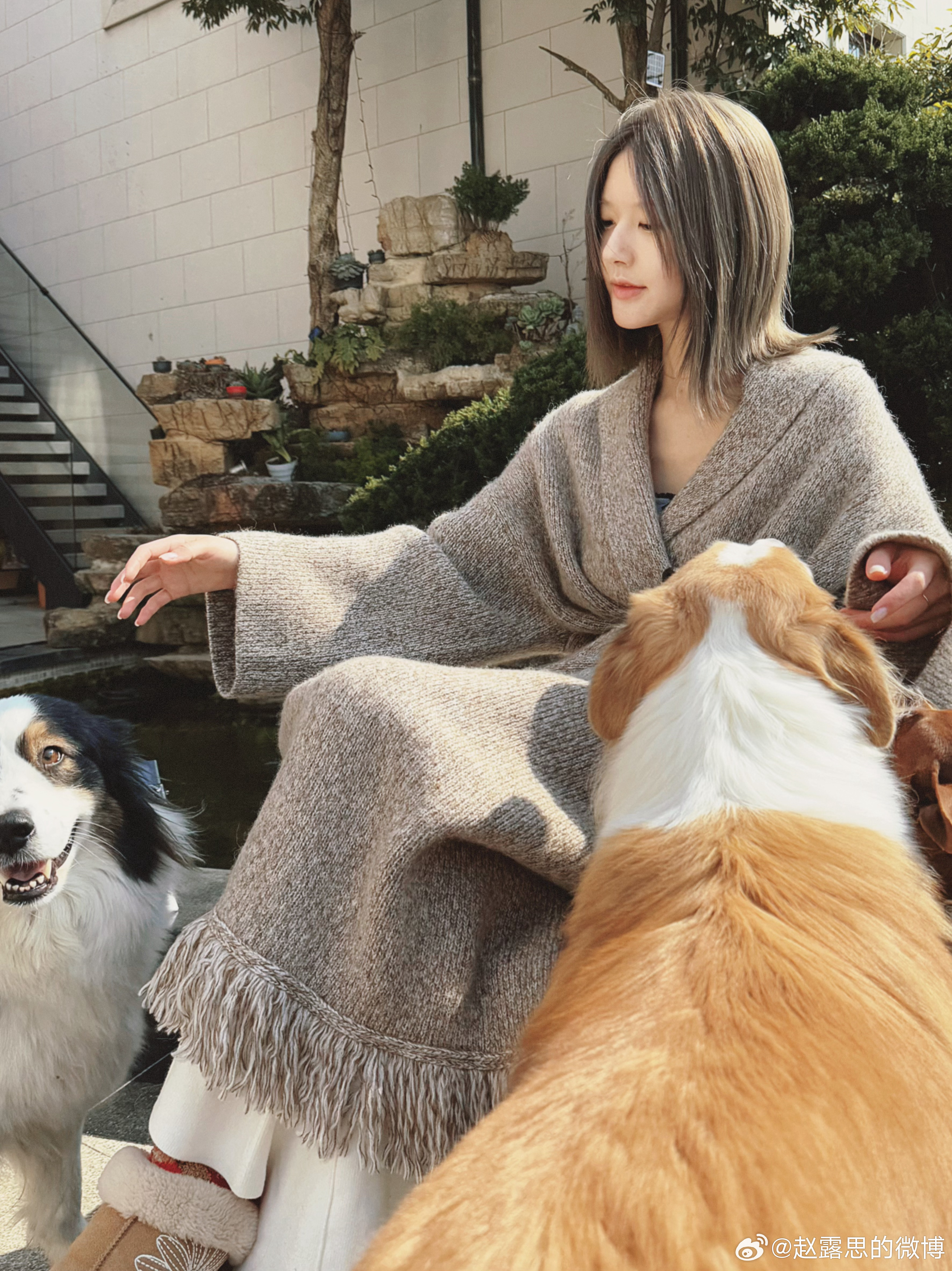 จ้าวลู่ซือ