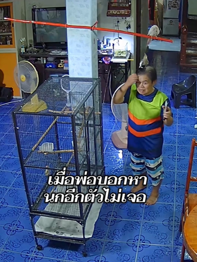 ตามหานก