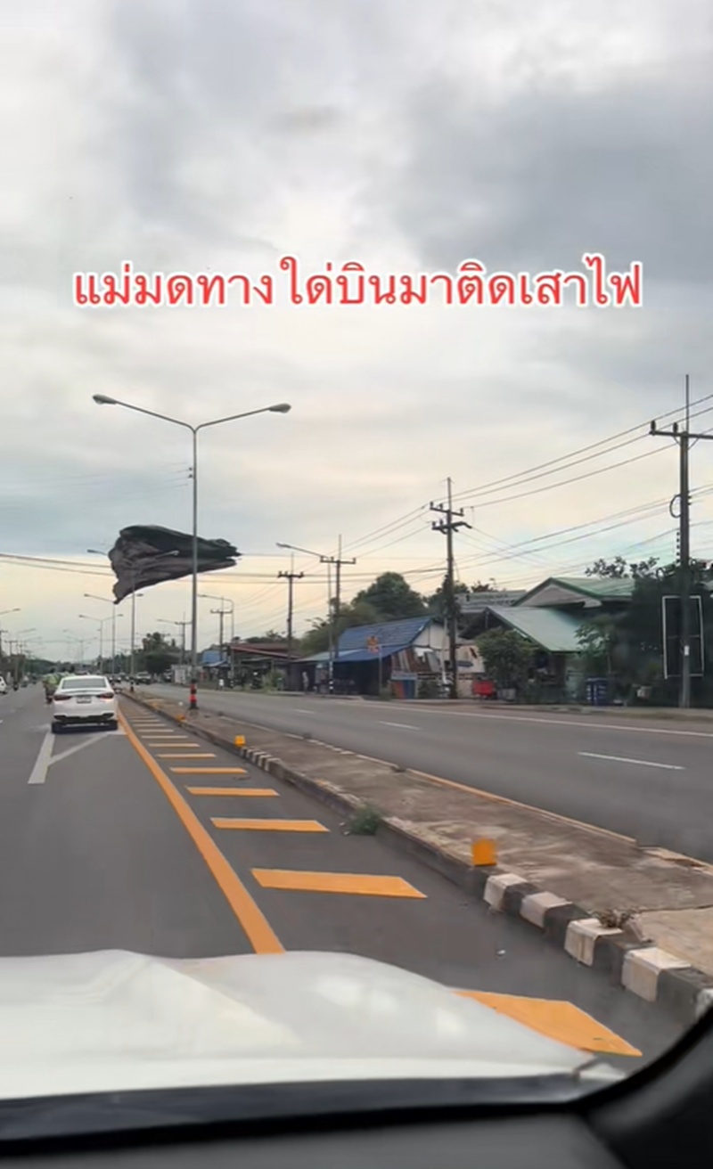แม่มด