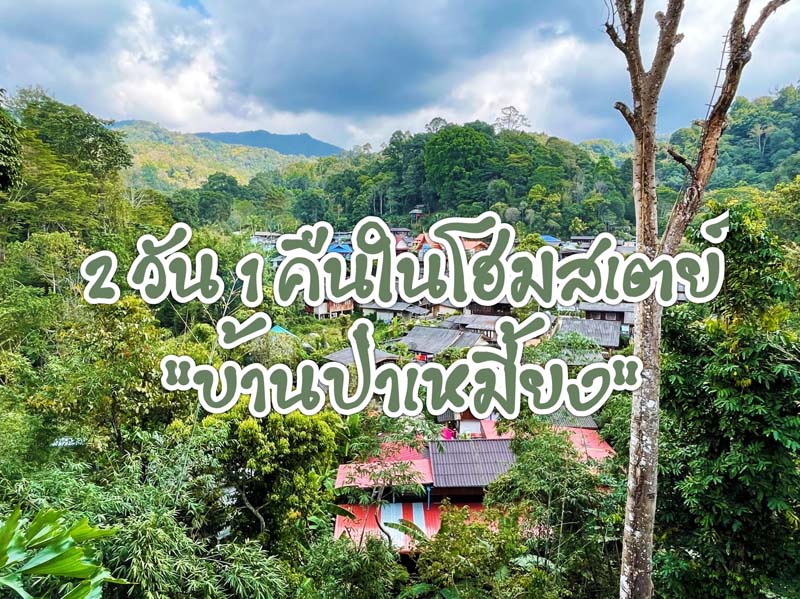 บ้านป่าเหมี้ยง