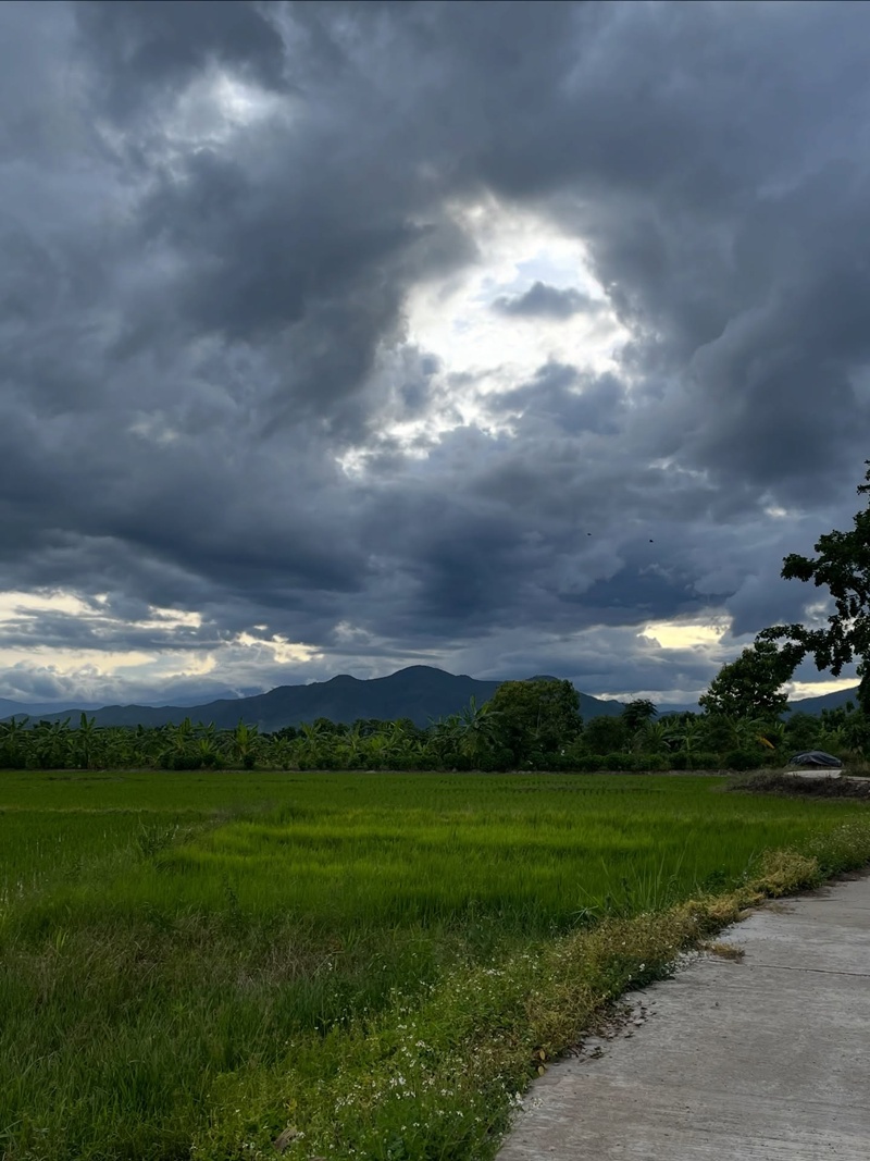 ซาร่า โฮเลอร์ ประกาศขายที่ดินเชียงใหม่