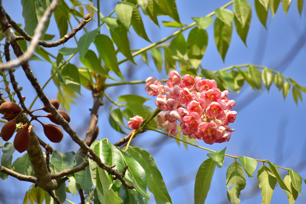 เที่ยวน่านหน้าหนาว