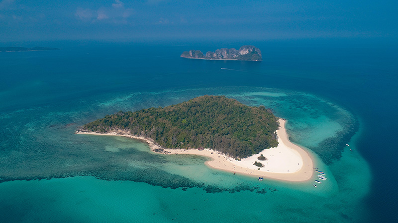 เกาะไม้ไผ่