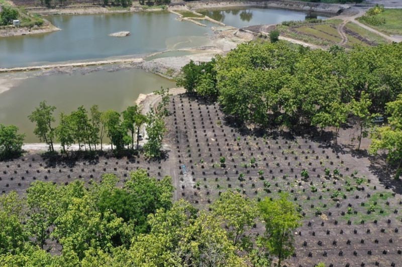 ตั๊ก บงกช