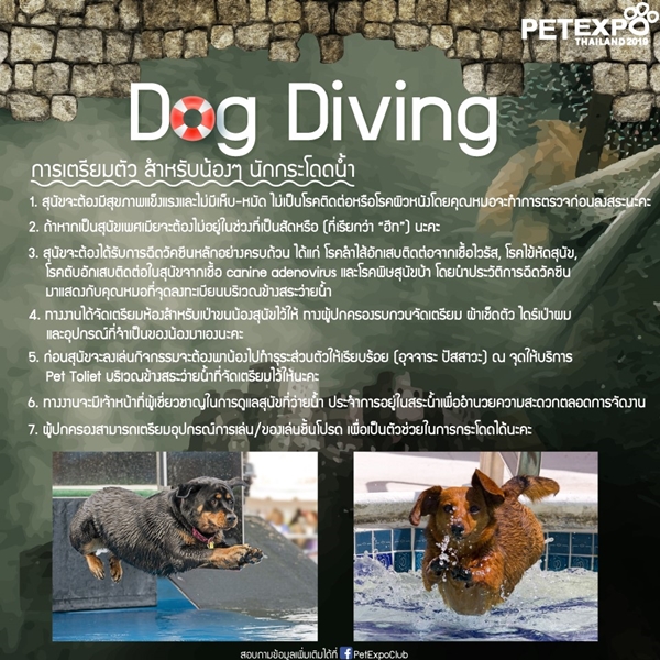 Pet Expo Thailand 2019 ครั้งที่ 19