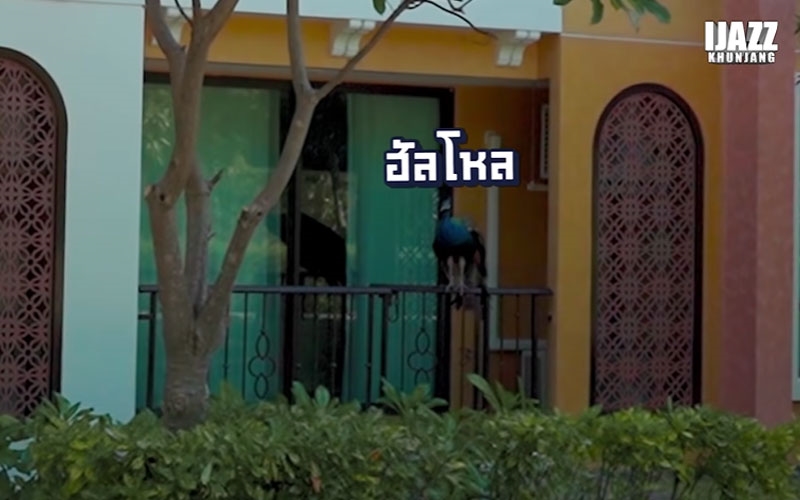 คอนโดใหม่ แจ๊ส แจง