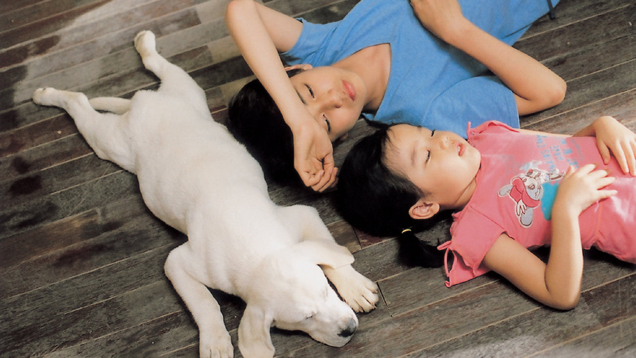 หนัง สนุข