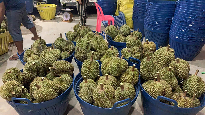 สั่งทุเรียนเดลิเวอรี่