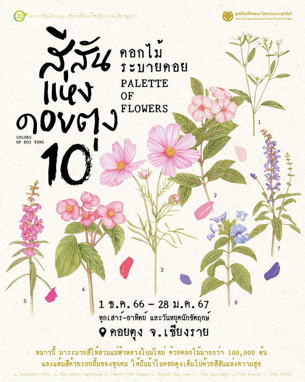 เทศกาลสีสันแห่งดอยตุง ครั้งที่ 10