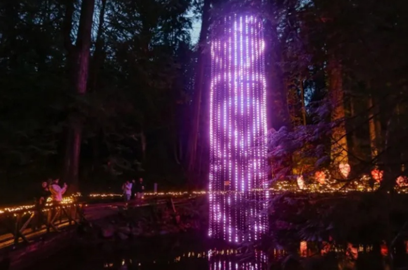 สะพานแขวน