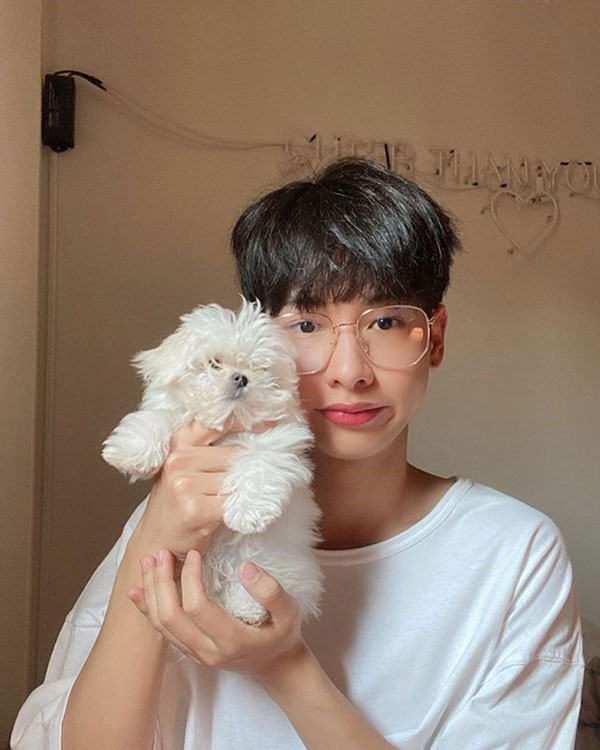 สัตว์เลี้ยงดารา