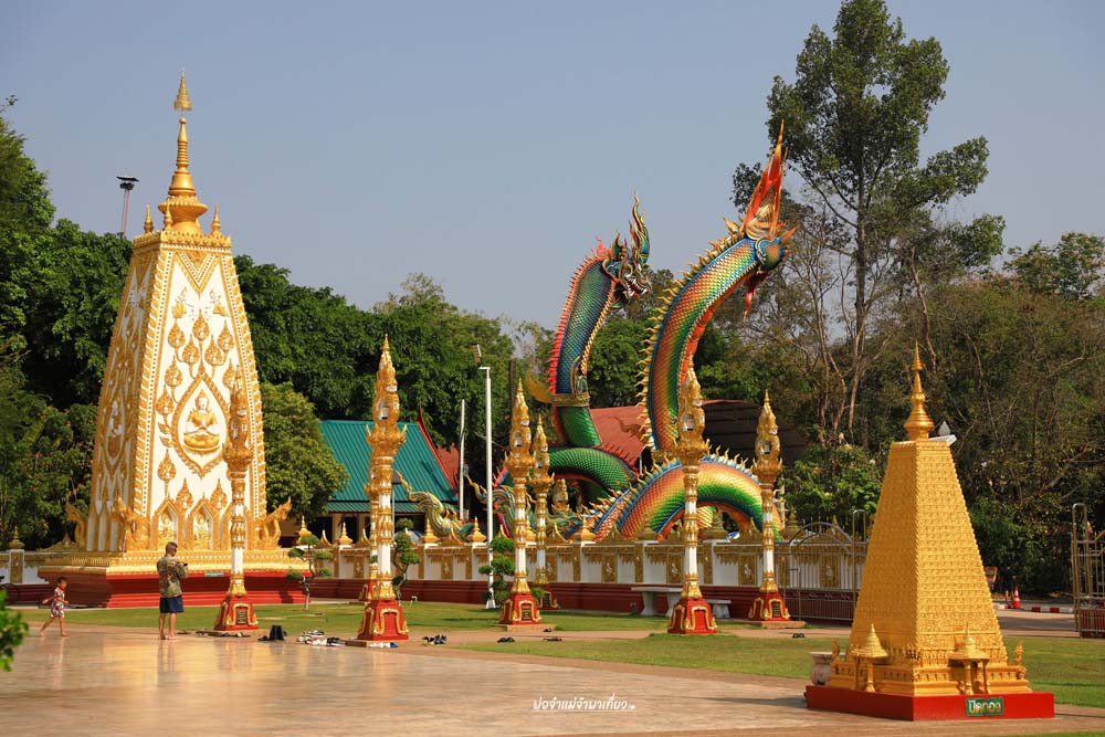 วัดพระธาตุหนองบัว