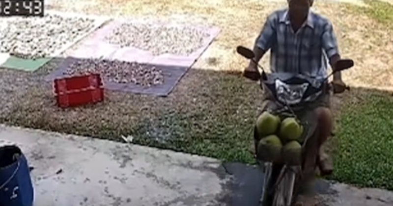 น้ำมะพร้าว