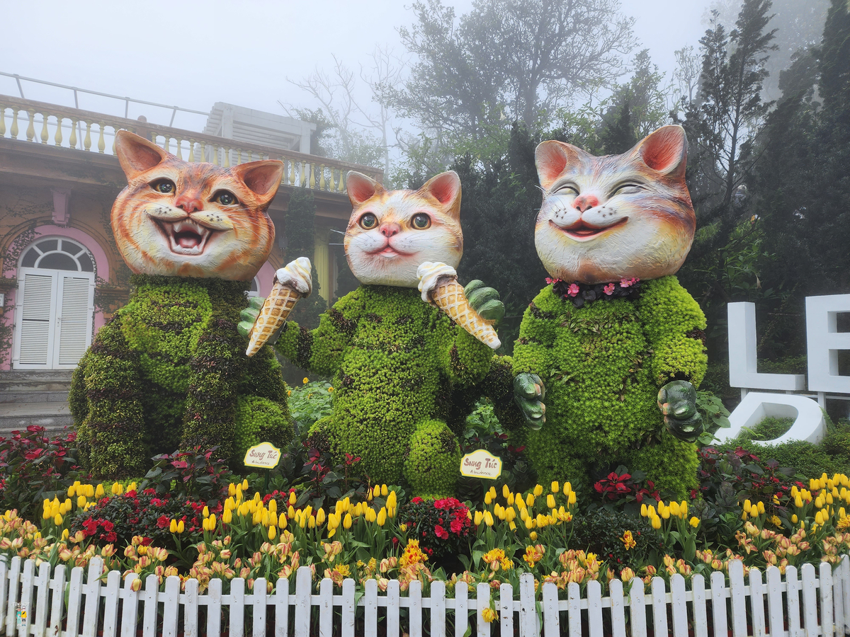 บานาฮิลล์